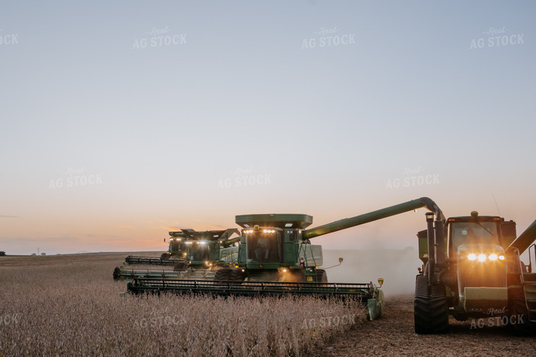 Soybean Harvest 77297