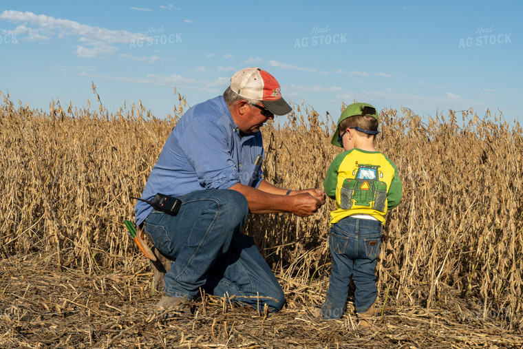 Farmer and Farm Kid Checking Beans 65090