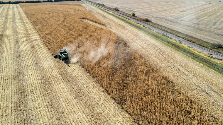 Aerial of Downed Cornfield 65129