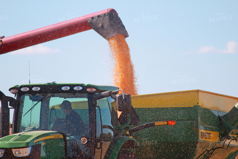 Dumping Corn in Auger Wagon 161001