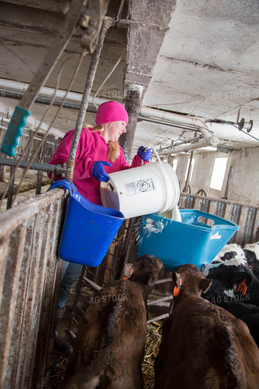 Dairy Calf Care 161013