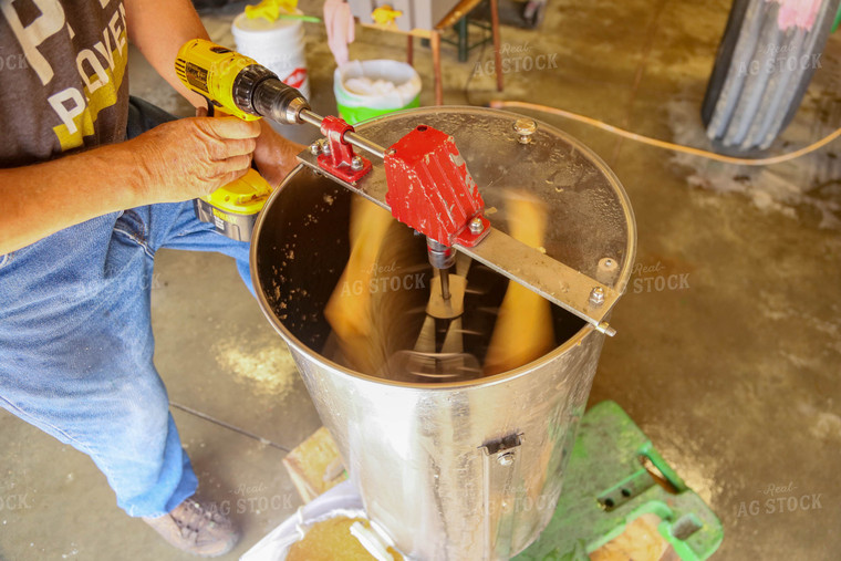 Harvesting Honey 161039