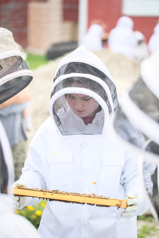 Harvesting Honey 161053