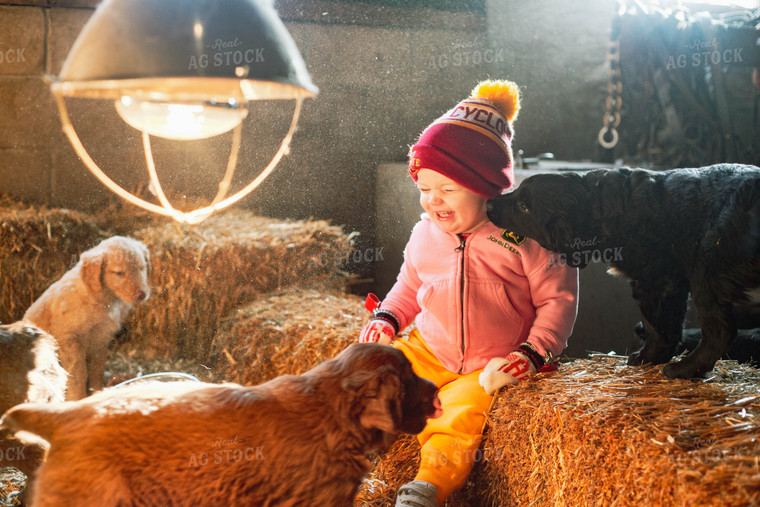 Farm Kid with Puppies 161067