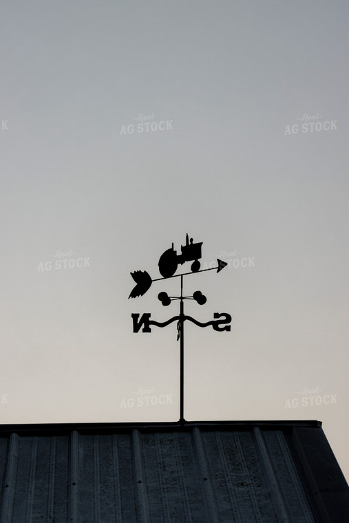 Weather Vane 162014