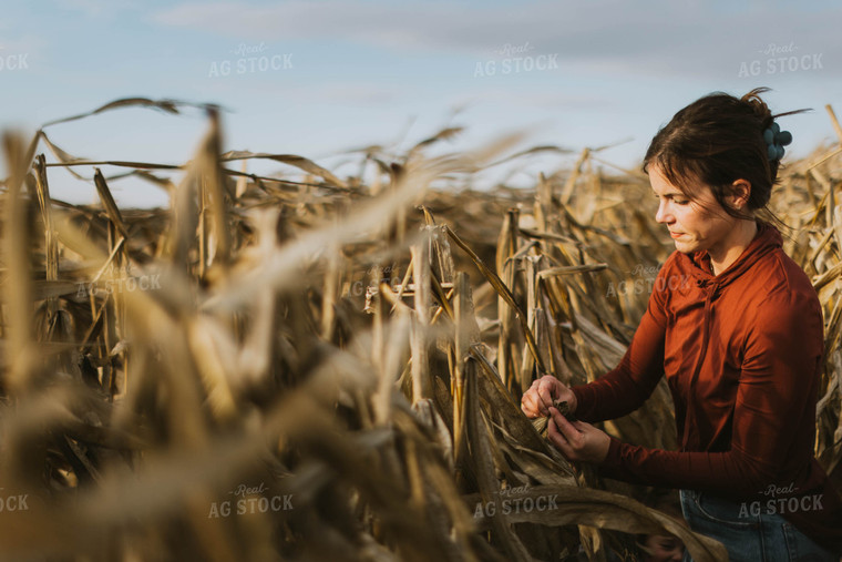 Female Farmer Checking Corn 8506