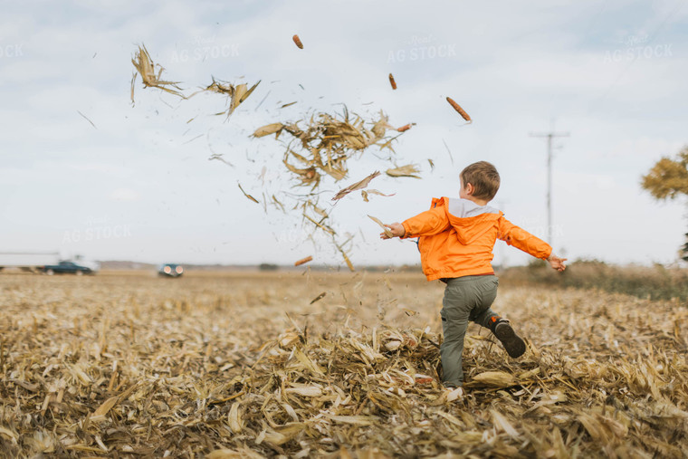Farm Kid Playing in Cornfield 8527