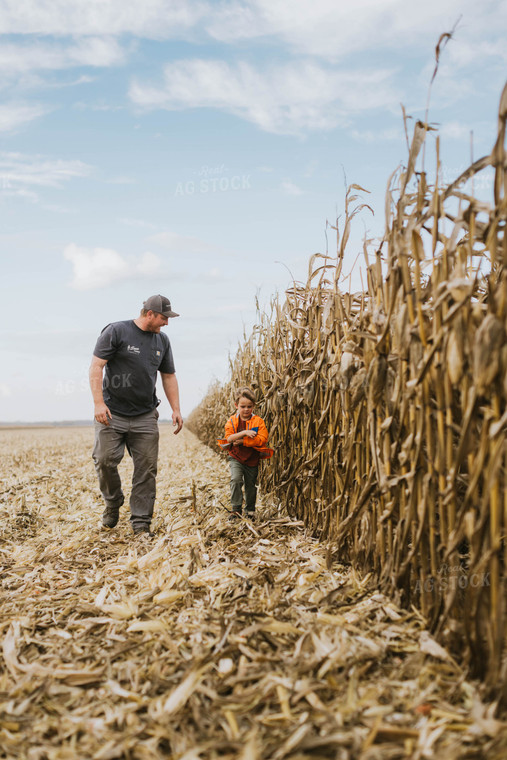 Farmer and Son Checking Corn 8535
