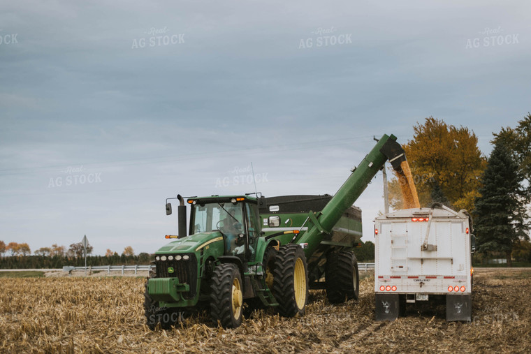 Corn Harvest 8596