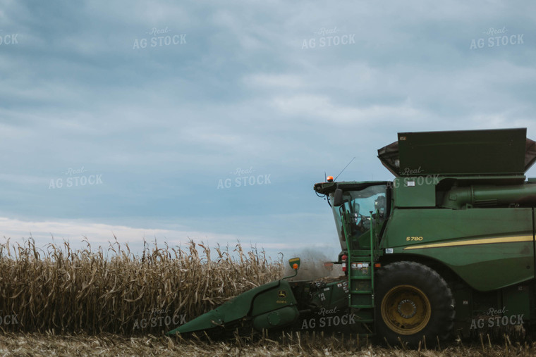 Corn Harvest 8631