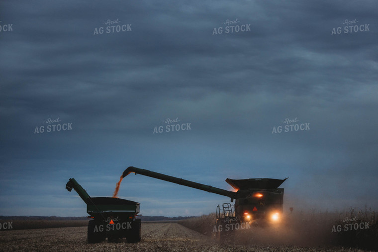 Corn Harvest 8640