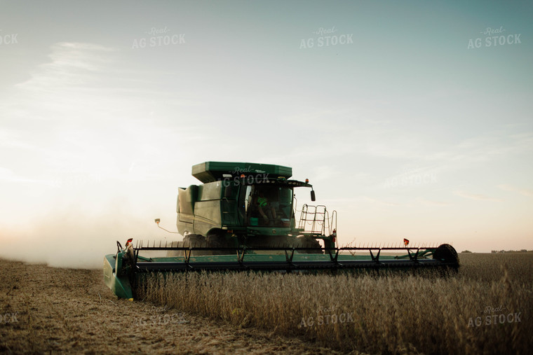 Soybean Harvest 8654