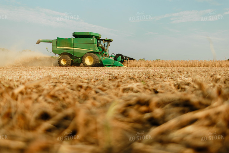 Soybean Harvest 8656