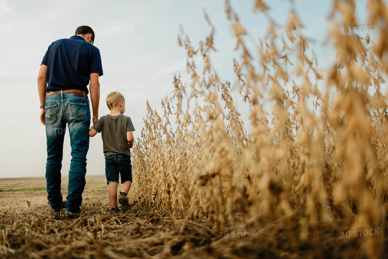 Farmer and Son Walking in Soybean Field 8663