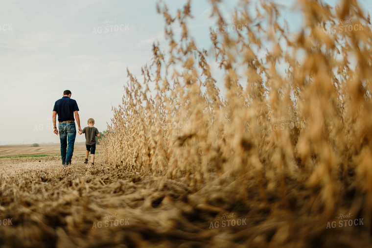 Farmer and Son Walking in Soybean Field 8664