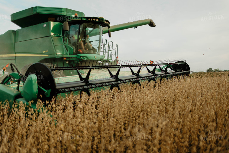 Soybean Harvest 8666