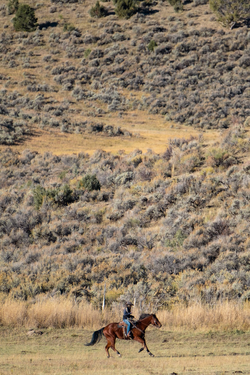 Female Rancher on Horseback 163013