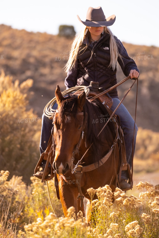 Rancher Herding Cattle on Horseback 163023