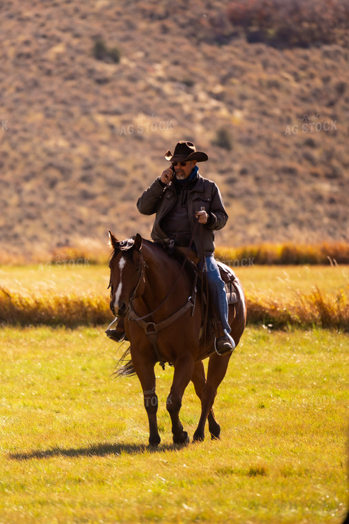 Rancher on Phone on Horseback 163032