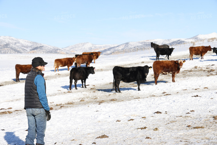 Female Rancher with Cattle 163040