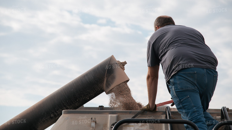 Loading Dry Fertilizer 26166