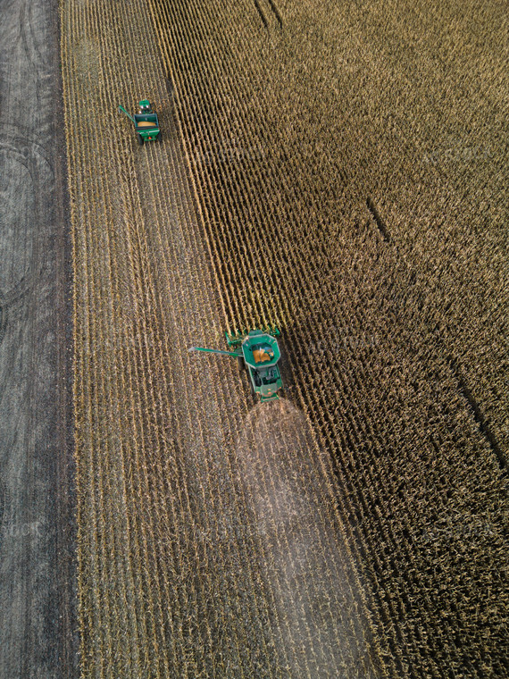 Aerial of Corn Harvest 67526