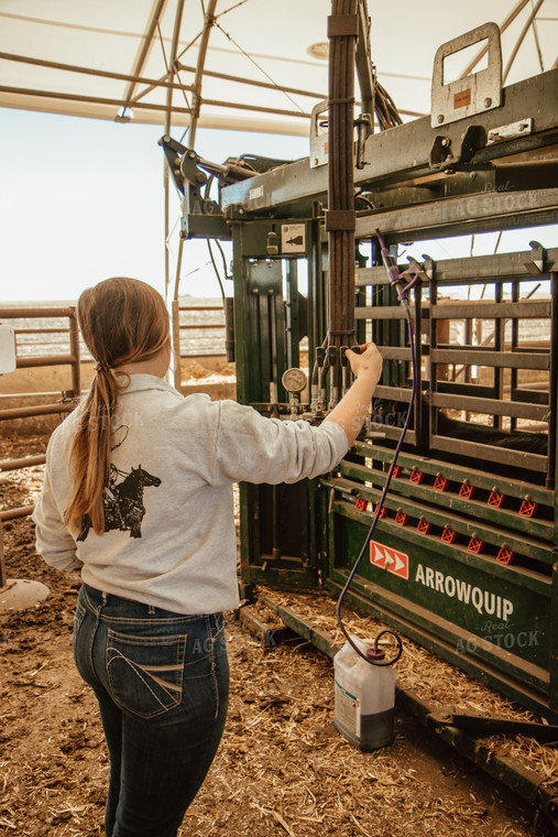 Female Rancher Handling Cattle 67528