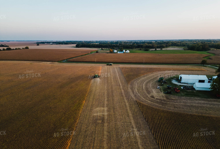 Soybean Harvest 115087