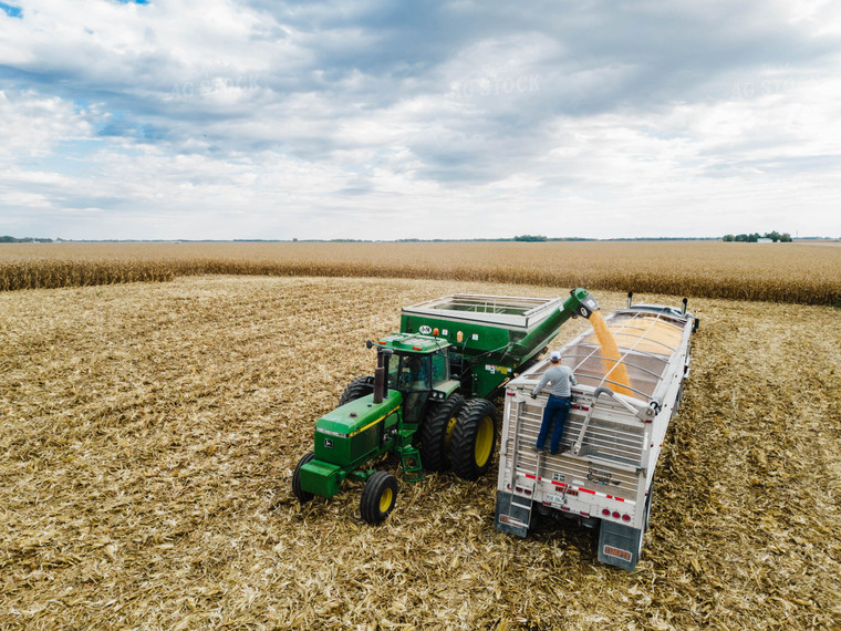 Corn Harvest 115103