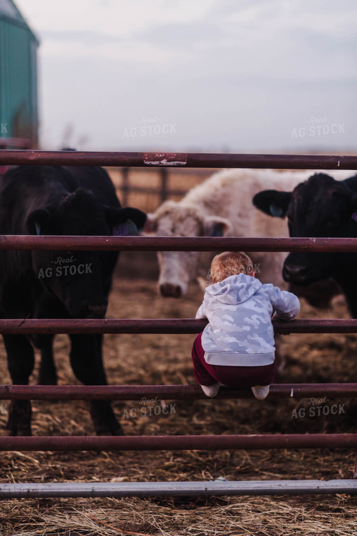 Farm Kid on Gate 115109