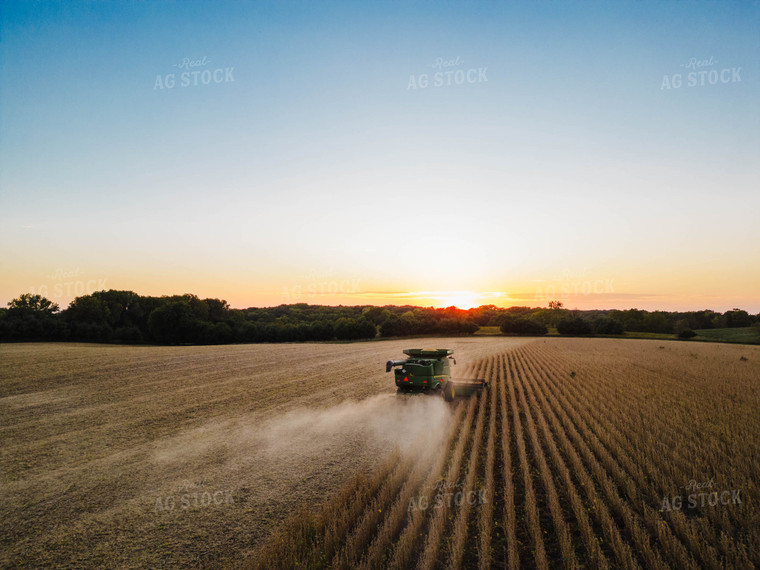 Soybean Harvest 115119