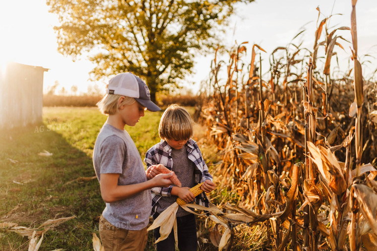 Farm Kids Holding Ears of Corn 115124
