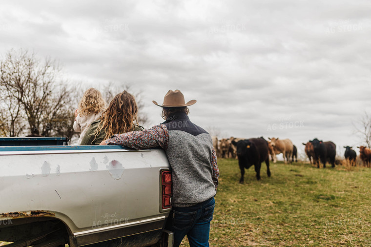 Farm Family Checking Cattle 115146