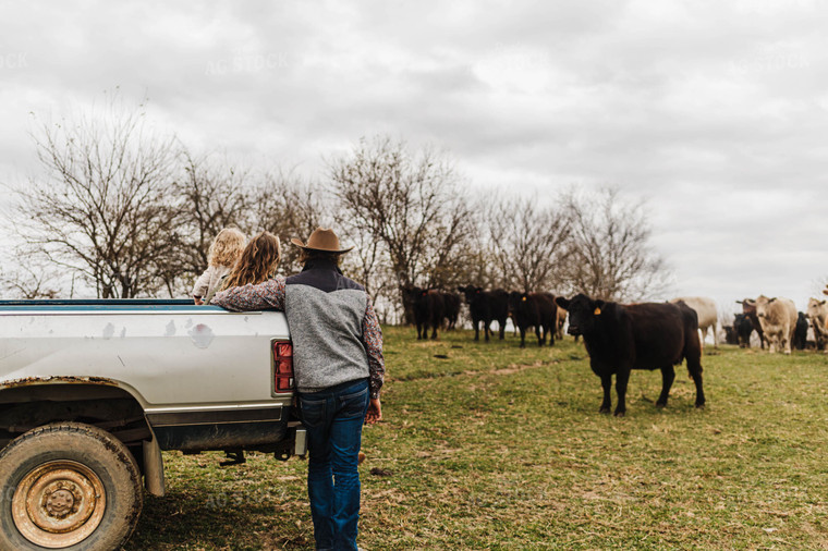 Farm Family Checking Cattle 115147