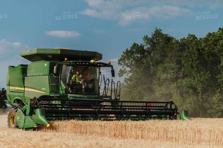 Wheat Harvest 115182