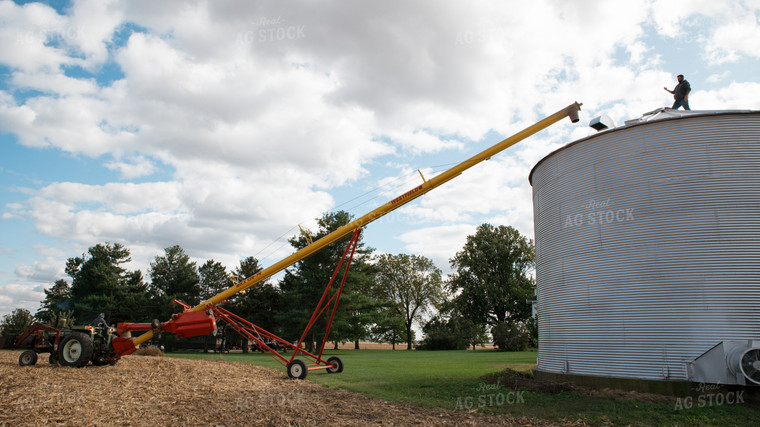 Farmers Lining Up Auger 26271