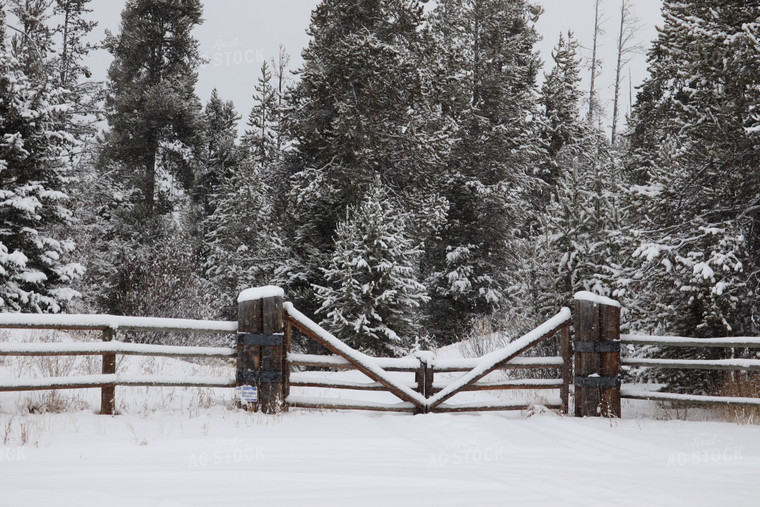 Snowy Fence 102048