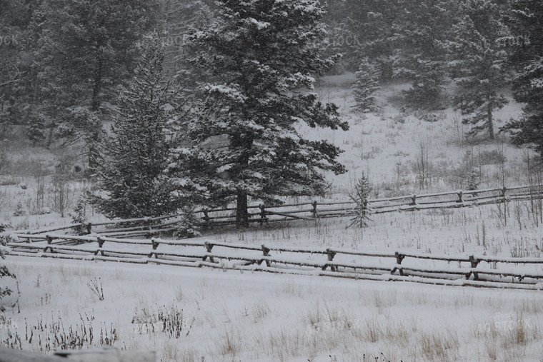 Snowy Fence 102049