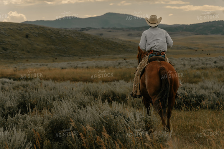 Rancher on Horseback 58285