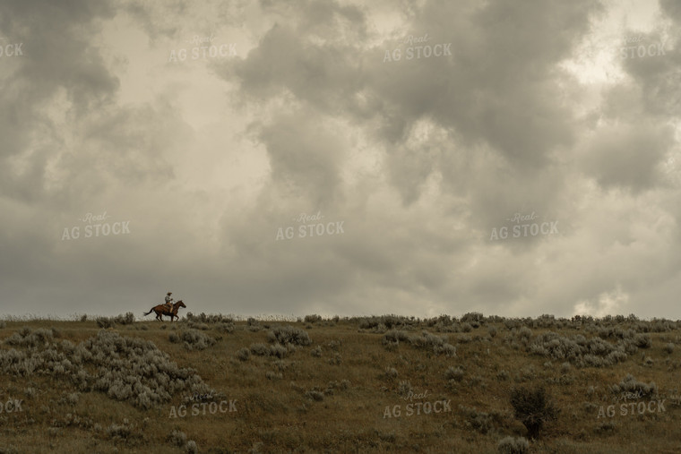 Rancher on Horseback 58290