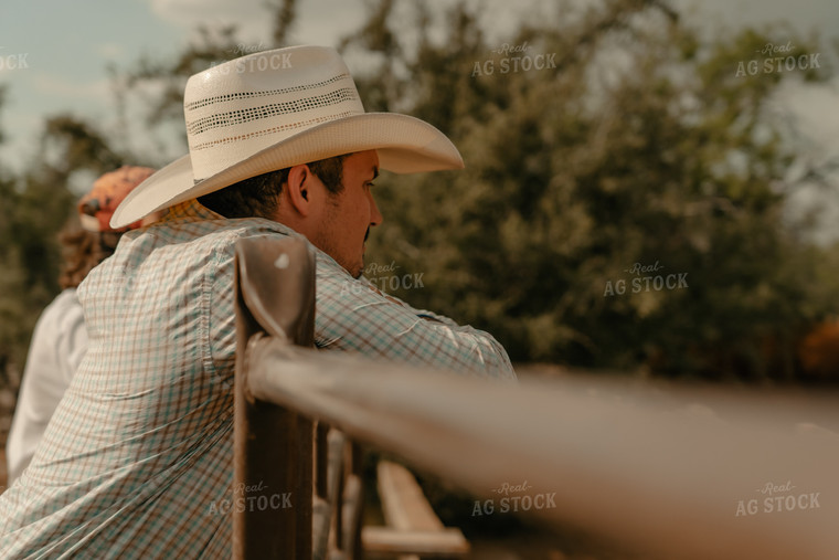 Rancher on Fence 58295