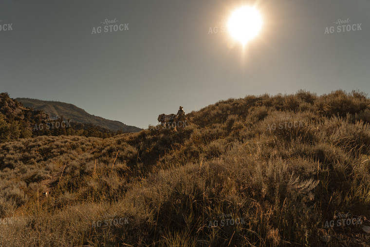 Rancher on Horseback 58305