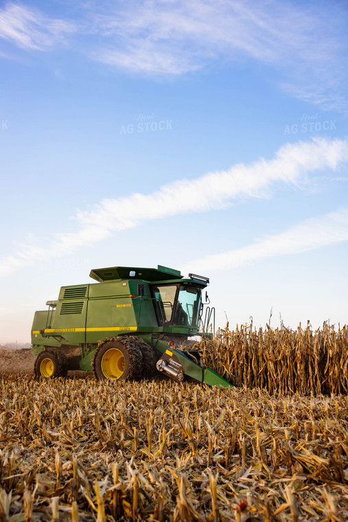 Corn Harvest 152361