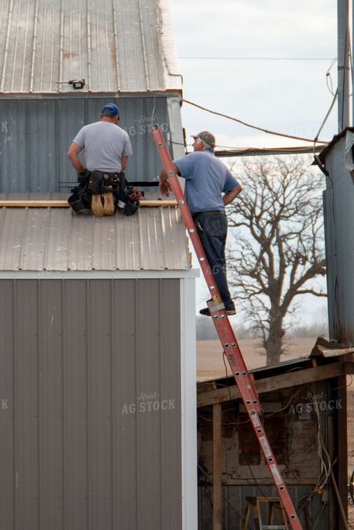 Putting up Barn 157057