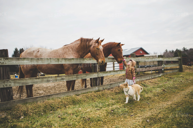 Farm Kid Petting Horse 169007