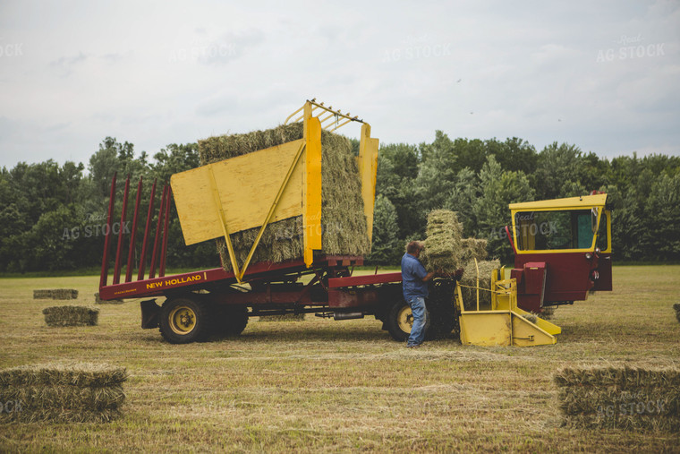 Putting up Hay 169011