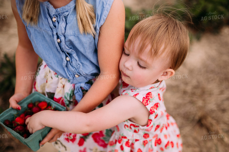 Farm Kids in Strawberry Patch 169026