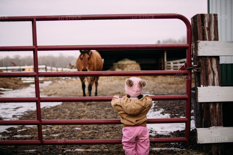 Farm Kid at Fence 169043