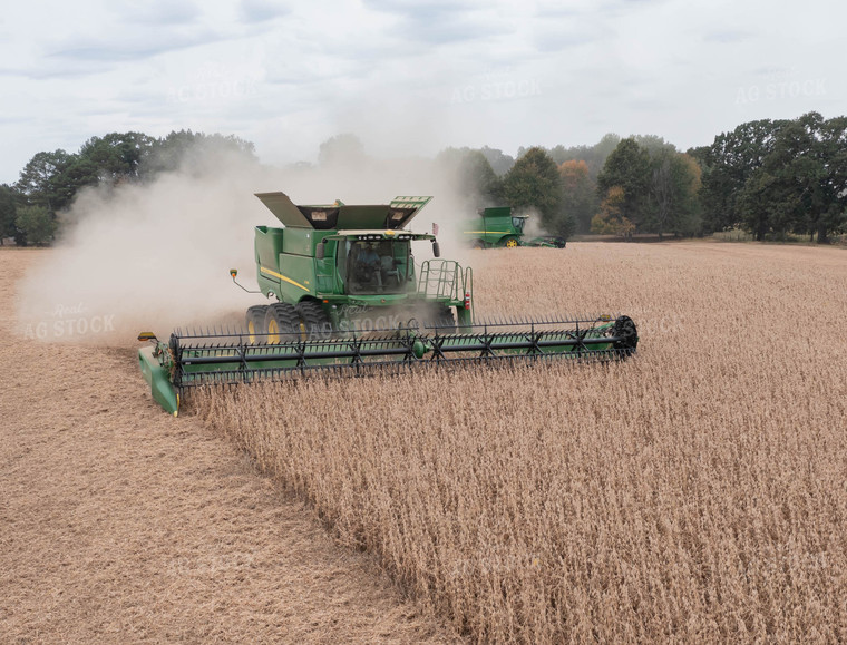 Soybean Harvest 79564