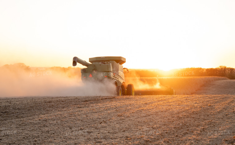 Soybean Harvest 170009